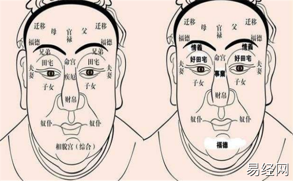 十二宫面相