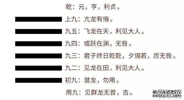 周易读书学习之——乾卦