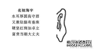 相法论：耳相凶吉