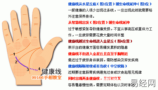 手相图解大全：12、各类掌纹支线