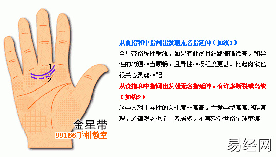 手相图解大全：12、各类掌纹支线