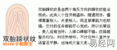 手相图解大全：13、指纹类型全分析