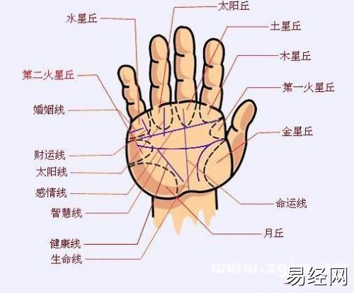 手相图解大全：20、各种常见病手相特征