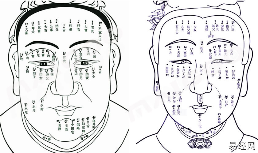面相痣图解