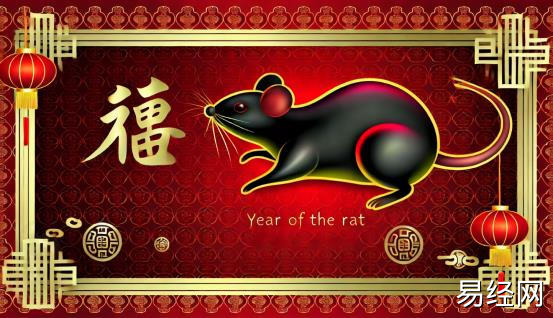 鼠年是哪一年 属鼠的今年多大几岁