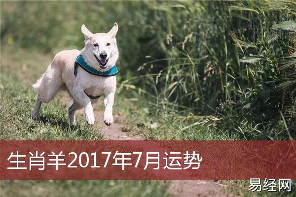 生肖羊2023年7月运势