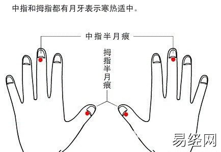 半月痕观健康图解6