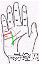26个掌纹看法