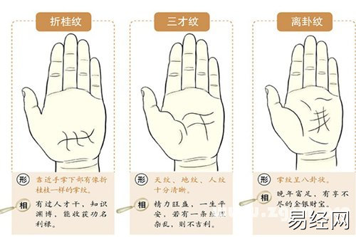 超全！掌纹手相让你一次看个够