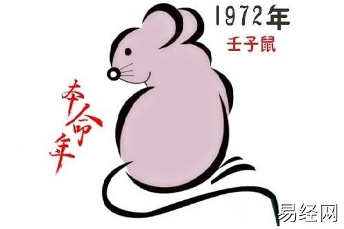 1972年出生的生肖鼠男命2023年运势2023年生肖鼠的运势