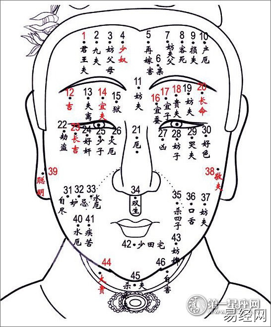 相术大全