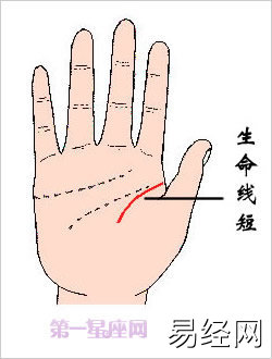 男人的生命线的几种不同诠释