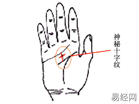 十字纹手相图解