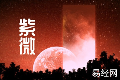 天同星入仆役宫是什么意思 天同星入奴仆宫代表什么