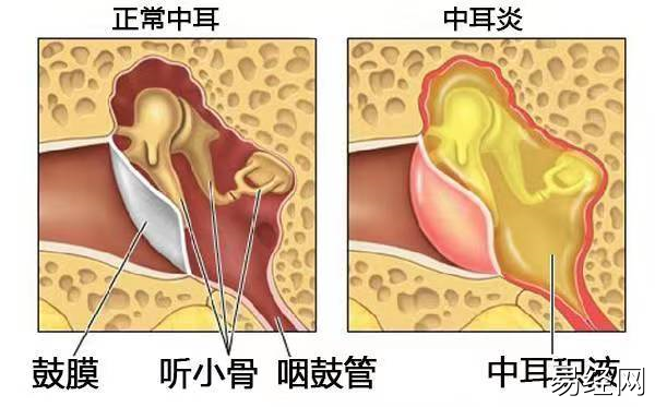 属龙和狗生肖好不好