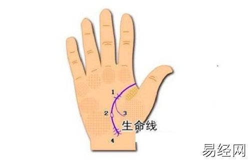 【相术】手相算命到底准不准？科学都无法解释！,易经网最新推荐相术