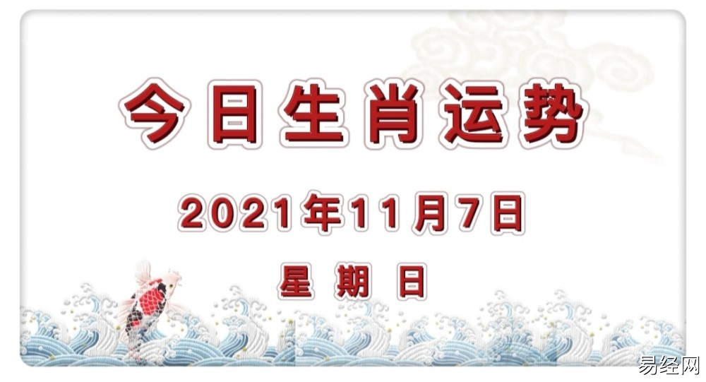 2021年11月8日生肖运势_12生肖运势全解_12生肖今日运势详解_今日运势查询