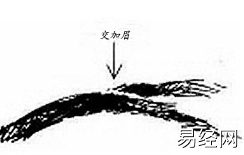 男人长痣面相图解_男人面相痣图解_男人的面相与命运图解