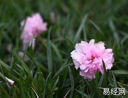 浅谈阴宅风水的立向 阴宅如何立向