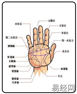 男人手相算命图解大全_男人手相图解大全女_男人手相图解大全