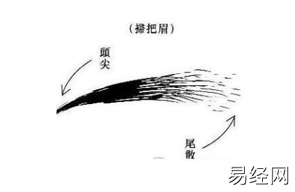 眉毛看相算命图解，黄薄眉注定会孤独一生