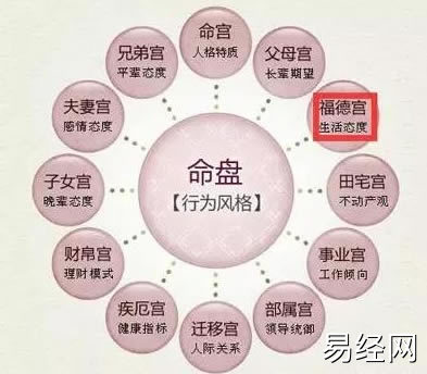 这是研究斗数的大忌，你知道吗？