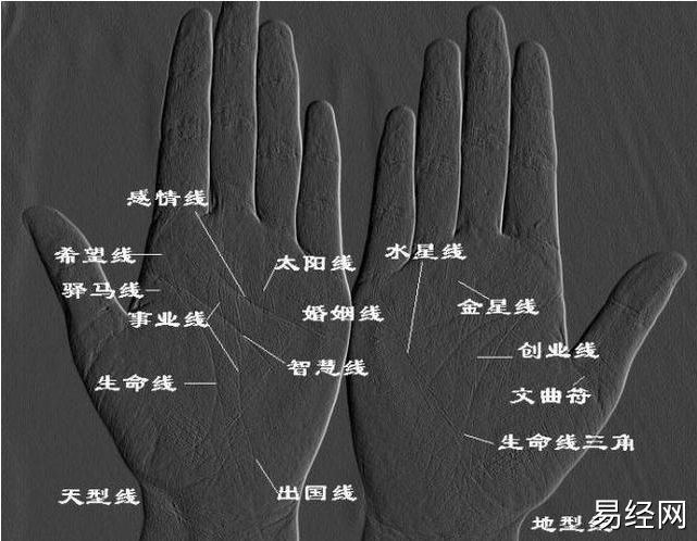 （李向东）手相学是的误区，你知道几个？