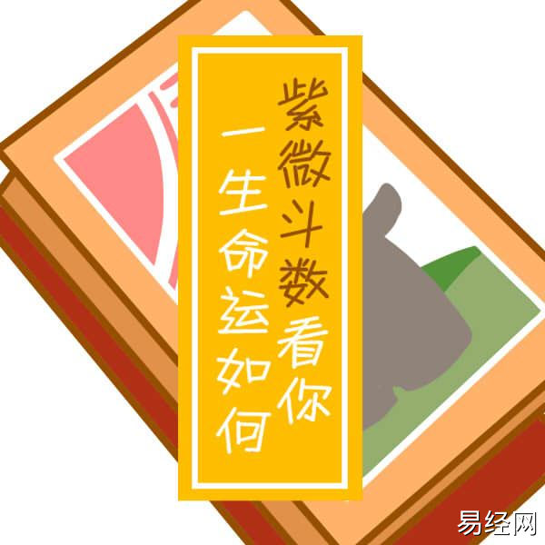 什么是紫薇斗数？奴仆宫影响你拥有欲望与投资态度