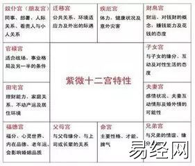 什么是紫薇斗数？奴仆宫影响你拥有欲望与投资态度