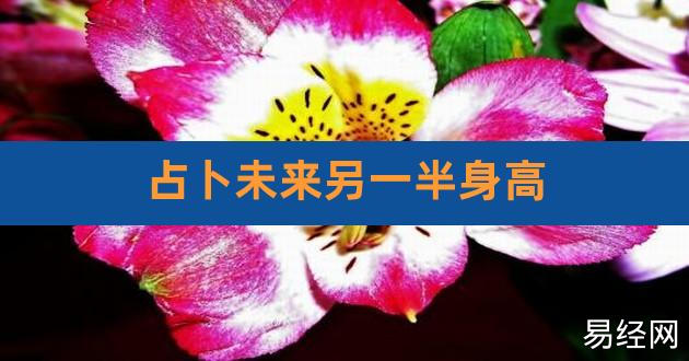 梅花易数占卜135测未来另一半资料（详细）