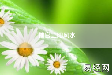 催官三阳风水（风水学的三羊开泰是什么意思）