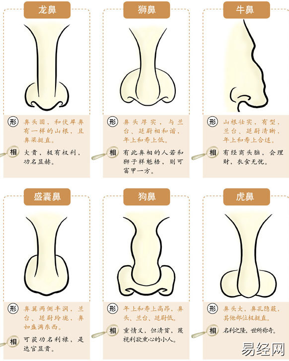 十种最有福气的鼻子，有你吗？鼻