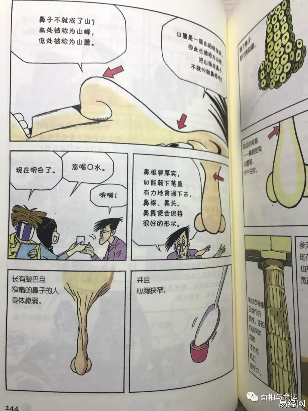 鼻，处面相最中央的位置，你知道吗？