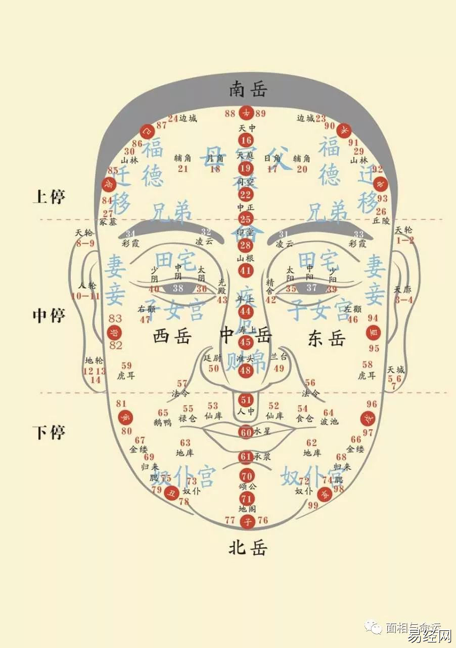 鼻，处面相最中央的位置，你知道吗？