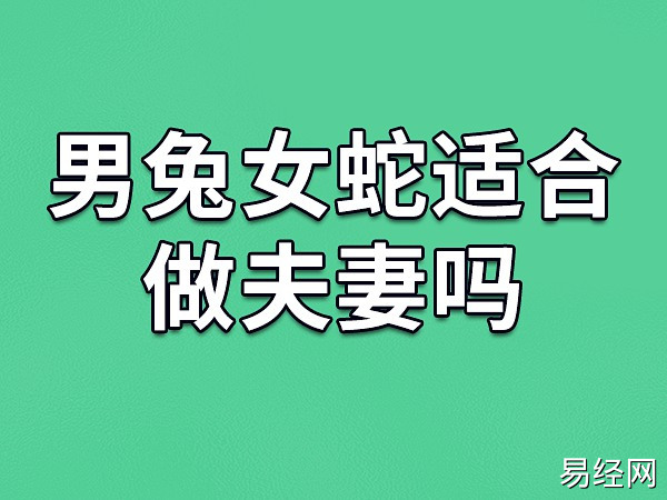 兔属变女人爱男会幸福吗_属兔女让男人一眼死心塌地_属兔男爱上一个女人会变怎样