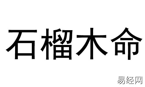 石榴木命的女人适合做什么生意