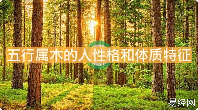 五行属木的人性格和体质特征有哪些