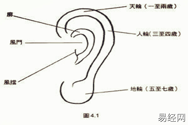 耳朵有痣的人图解面相，善解人意，肾气足