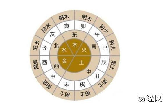 紫微斗数和八字有什么区别？八字算命原理是什么？