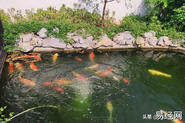 慈世堂：别墅庭院鱼池风水是否合理？风水