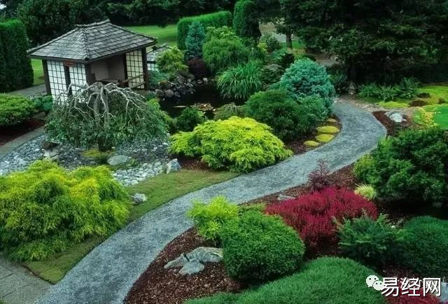 庭院中央不宜放植，树根会破坏平坦的庭院