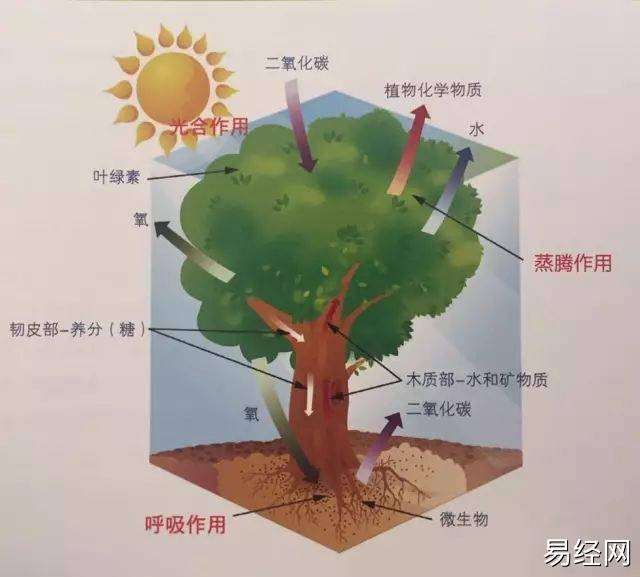 （李向东）风水学的入门及入门知识，值得收藏！