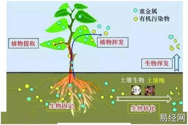 （李向东）风水学的入门及入门知识，值得收藏！