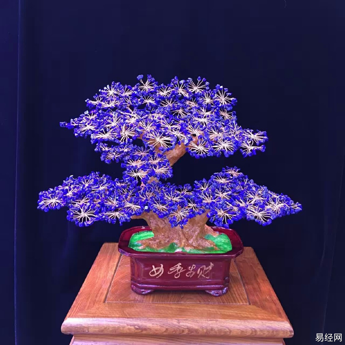 与家里养什么植物风水好？室内旺财风水植物都有哪些