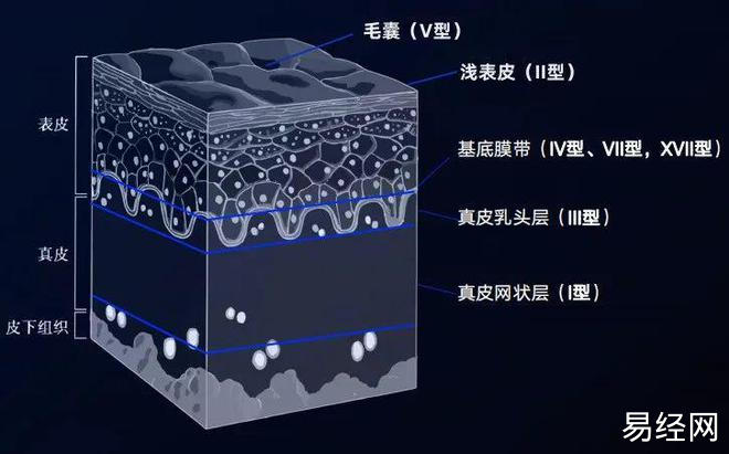 风水堂：法令纹面相看你的职场运势