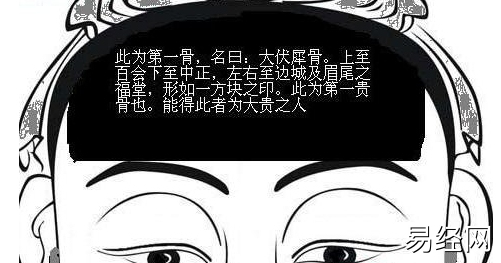 （李向东）面相图左右怎么分？看完你就知道了