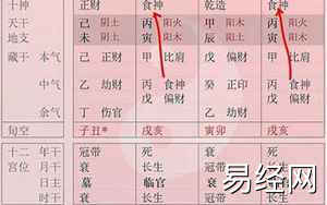 包双龙八字(包双龙八字排盘详解)