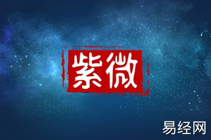 紫微斗数宫位星曜_紫微斗数星曜状态_紫微斗数星曜含义