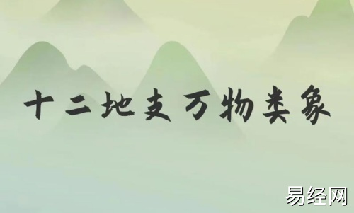 类象是什么意思,八卦万物类象详解! 类象是什么意思,八卦万物类象详解!