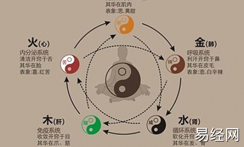 五行之间相生相克的关系-易经怎么入门-易经周易知识入门-